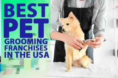 The Best 10 Pet Grooming Franchise Opportunities in USA for 2025