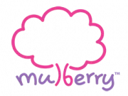 Mulberry Learning franchise company