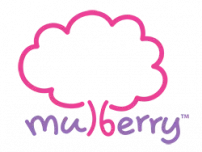 Mulberry Learning franchise