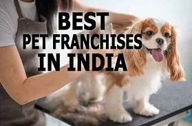 The 10 Best Pet Franchise Businesses in India for 2025