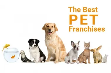 The Best 8 Pet Business Franchises to Own 2025