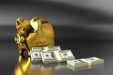 Is it worth investing in seasonal franchises