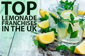 Top 10 Lemonade Franchises For Sale in the UK in 2025