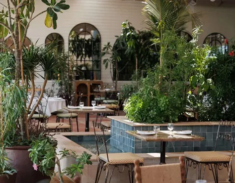 SORAYA Modern Persian Fine Dining Franchise - image 3