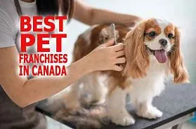 The 10 Best Pet Franchise Businesses in Canada for 2025