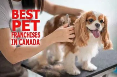 The 10 Best Pet Franchise Businesses in Canada for 2025