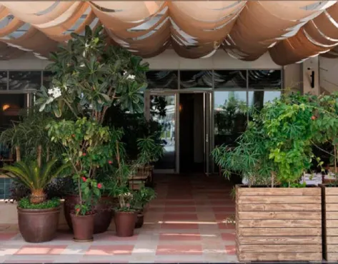 SORAYA Modern Persian Fine Dining Franchise - image 2