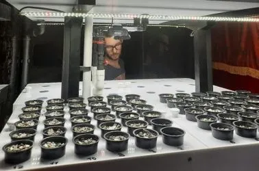 Read how GREENBAR «VIrtual Agronomist» AI helps to grow raspberry