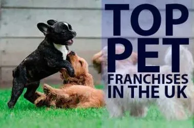 Top 10 Pet Franchise Business Opportunities in the UK in 2025