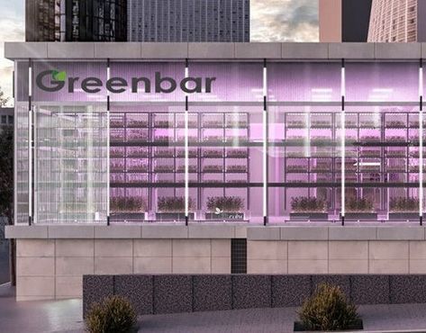 GREEN BAR Franchise – Vertical farm for growing greens, berries, edible flowers and vegetables in urban spaces