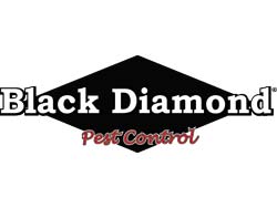 Black Diamond Pest Control logo