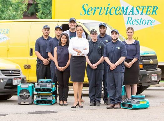 ServiceMaster franchise for sale