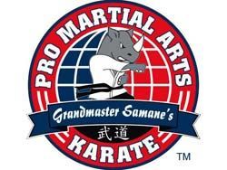 Pro Martial Arts logo
