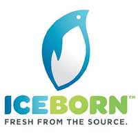 IceBorn logo