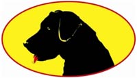 Jet-Black/Yellow Dawg Striping franchise