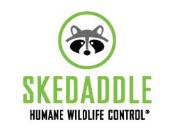 Skedaddle logo