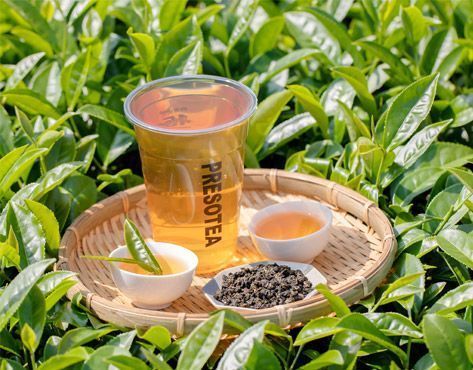 PRESOTEA Franchise