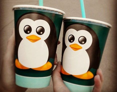 33 Penguins Franchise For Sale - Ice-Cream Parlor