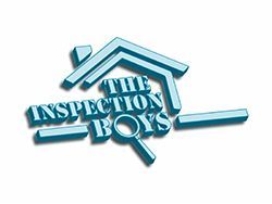 The Inspection Boys logo