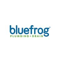 bluefrog franchise