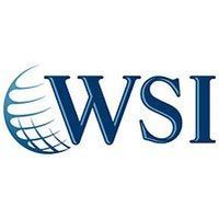 WSI logo