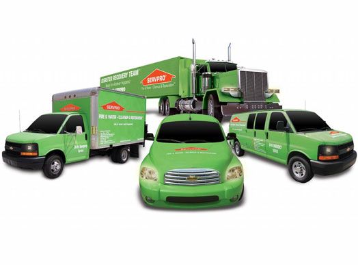 Servpro franchise for sale