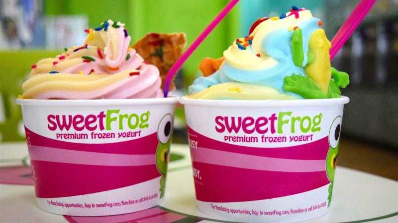 sweetFrog Franchise in the USA
