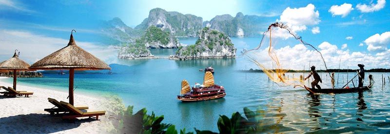 TOP 8 Travel Franchises in Vietnam in 2022