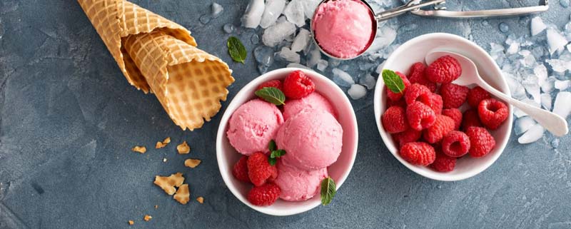 10 Best Ice Cream Franchises in USA in 2021