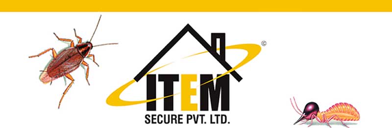 Item Secure Private Limited Franchise in India