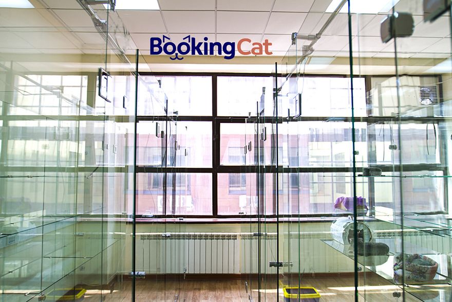 Pet Pet franchise opportunities - Hotels Chain BookingCat