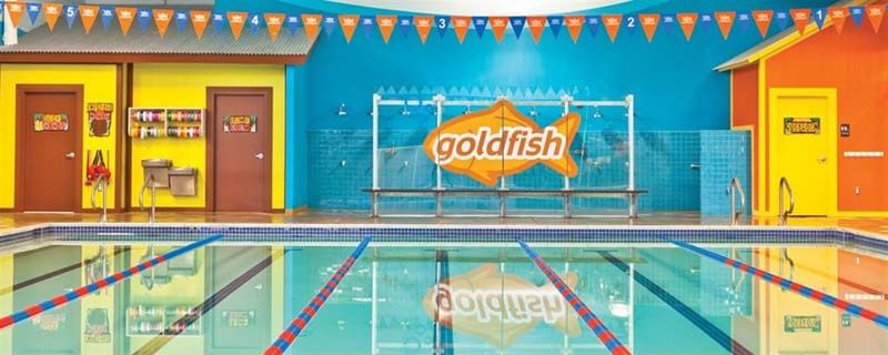 Goldfish Swim School Franchise