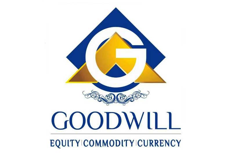 Goodwill Wealth Management PLTD Franchise in India