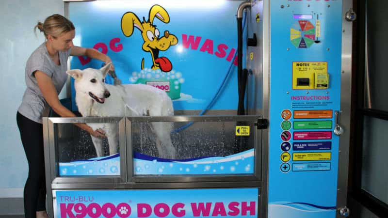 K9000 Self Serve Dog Wash franchise