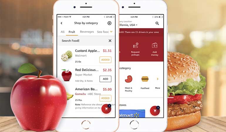 Food And Grocery Delivery Platform franchise