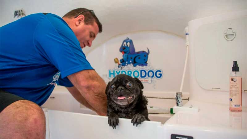 Hydrodog Mobile Gog Grooming franchise