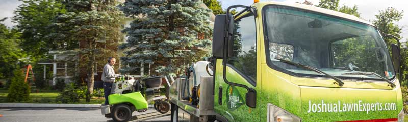 About the Joshua Tree Experts Brand