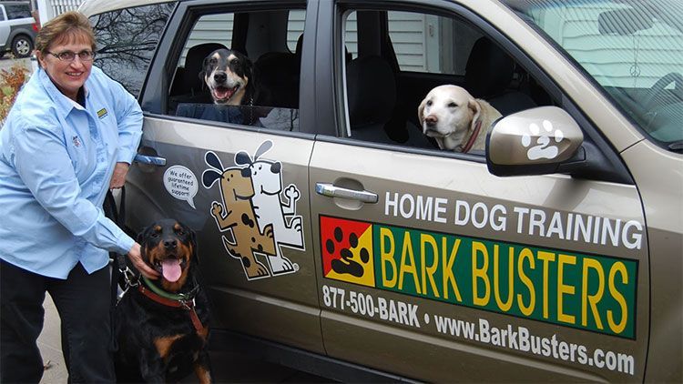 Bark Busters Home Dog Training franchise