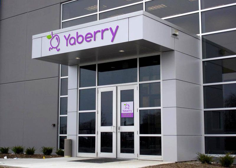 Yaberry franchise for sale