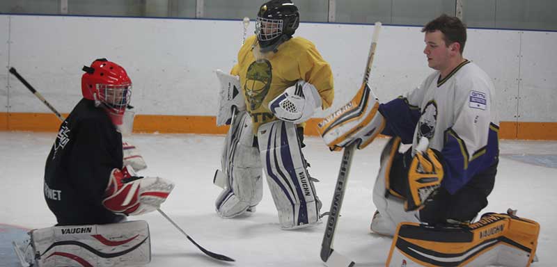 Gold In The Net Hockey Schools franchise