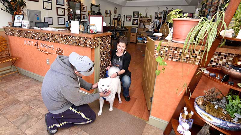 Just 4 Paws Pet Spa franchise