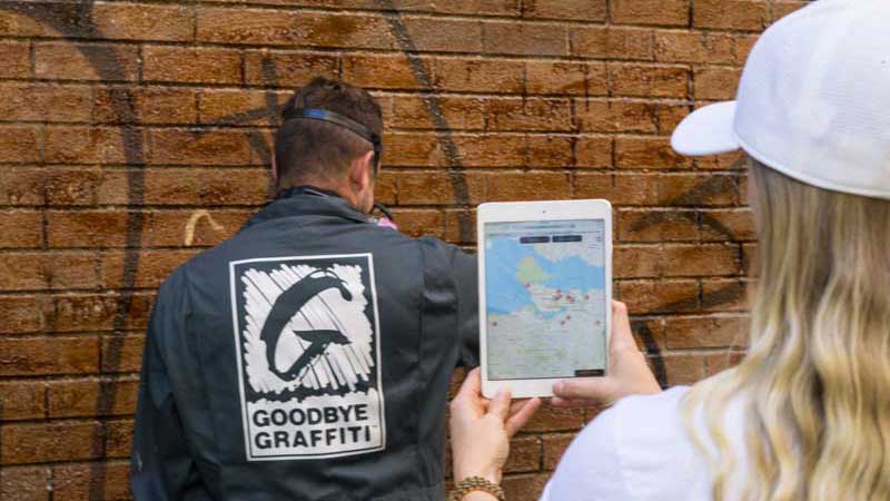 Goodbye Graffiti Inc franchise