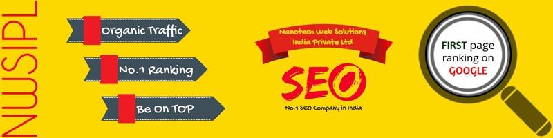 NANOTECH WEB SOLUTIONS INDIA (P) LTD