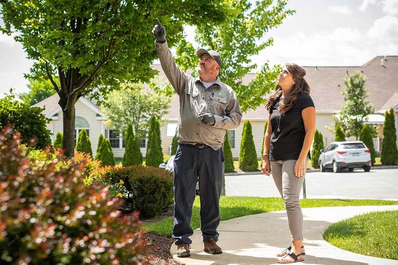 Joshua Tree Experts Franchise