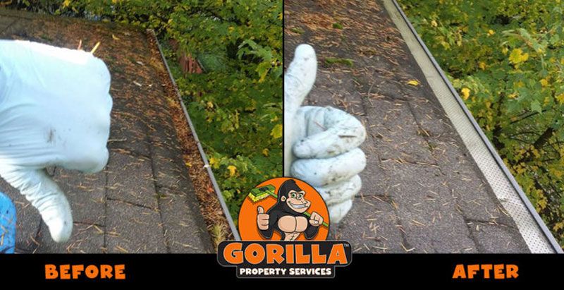 Gorilla Property Services Franchise