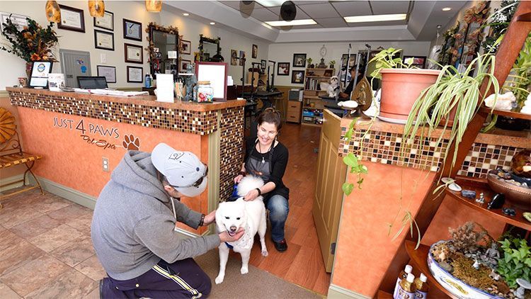 Just 4 Paws Pet Spa franchise