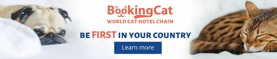 BookingCat Franchise