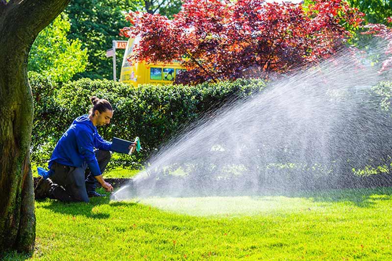Pacific Lawn Sprinklers Franchise Overview Pacific Lawn Sprinklers Franchise Overview