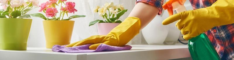 TOP 7 Cleaning Franchise Business Opportunities in The Philippines for 2022