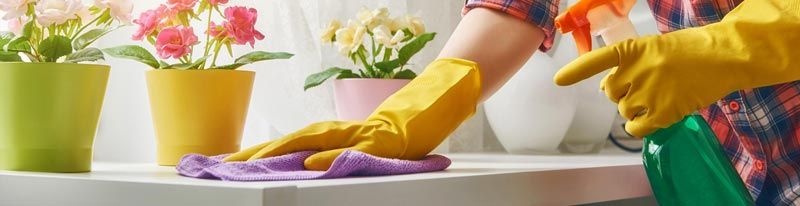 TOP 7 Cleaning Franchise Business Opportunities in The Philippines for 2024